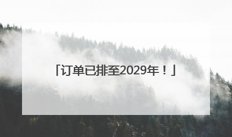 订单已排至2029年！