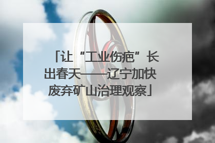 让“工业伤疤”长出春天——辽宁加快废弃矿山治理观察