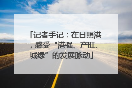 记者手记：在日照港，感受“港强、产旺、城绿”的发展脉动