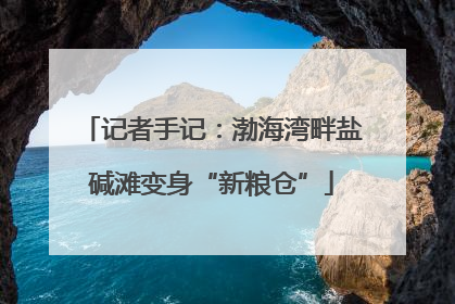记者手记：渤海湾畔盐碱滩变身“新粮仓”
