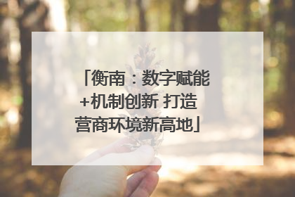 衡南：数字赋能+机制创新 打造营商环境新高地