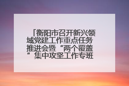 衡阳市召开新兴领域党建工作重点任务推进会暨“两个覆盖”集中攻坚工作专班 第一次会议