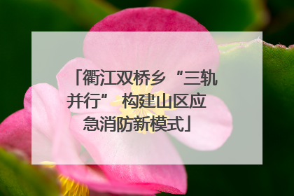 衢江双桥乡“三轨并行” 构建山区应急消防新模式
