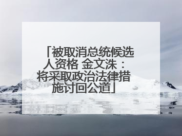 被取消总统候选人资格 金文洙：将采取政治法律措施讨回公道