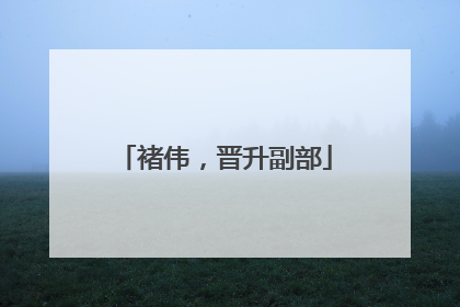 褚伟，晋升副部