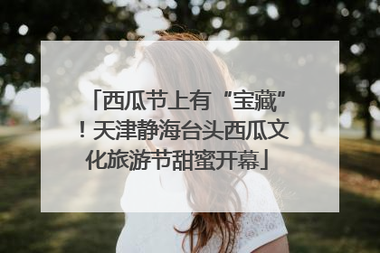 西瓜节上有“宝藏”！天津静海台头西瓜文化旅游节甜蜜开幕