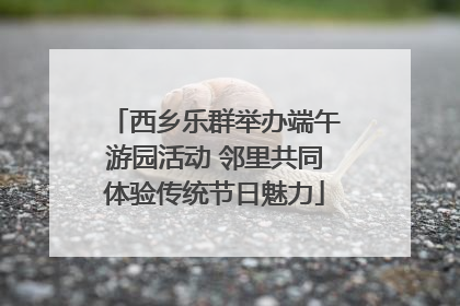 西乡乐群举办端午游园活动 邻里共同体验传统节日魅力