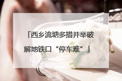 西乡流塘多措并举破解地铁口“停车难”