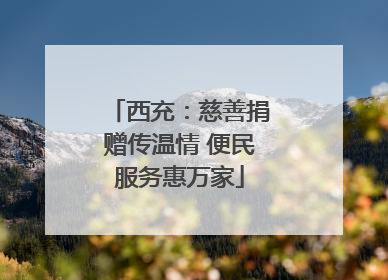 西充：慈善捐赠传温情 便民服务惠万家