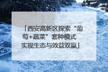 西安高新区探索“葡萄+蔬菜”套种模式 实现生态与效益双赢