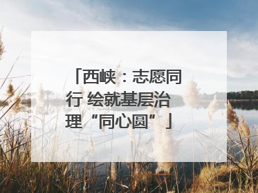 西峡：志愿同行 绘就基层治理“同心圆”