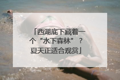西湖底下藏着一个“水下森林”？夏天正适合观赏