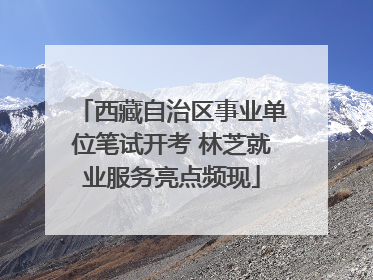 西藏自治区事业单位笔试开考 林芝就业服务亮点频现