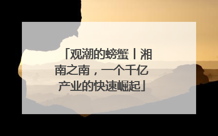 观潮的螃蟹丨湘南之南，一个千亿产业的快速崛起