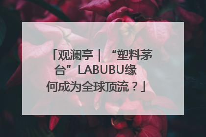 观澜亭｜“塑料茅台”LABUBU缘何成为全球顶流？