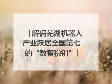 解码芜湖机器人产业跃居全国第七的“数智税钥”