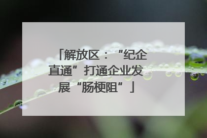 解放区：“纪企直通”打通企业发展“肠梗阻”