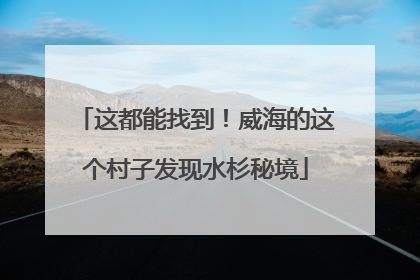 这都能找到！威海的这个村子发现水杉秘境