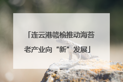 连云港赣榆推动海苔老产业向“新”发展