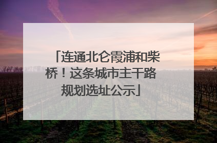 连通北仑霞浦和柴桥！这条城市主干路规划选址公示