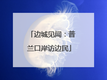边城见闻：普兰口岸访边民