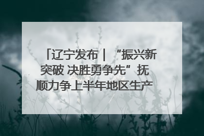 辽宁发布｜“振兴新突破 决胜勇争先”抚顺力争上半年地区生产总值增长7%左右