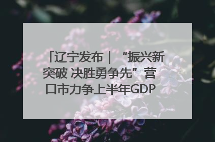 辽宁发布｜“振兴新突破 决胜勇争先”营口市力争上半年GDP增长6%左右
