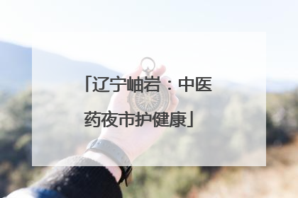 辽宁岫岩：中医药夜市护健康