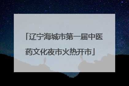 辽宁海城市第一届中医药文化夜市火热开市