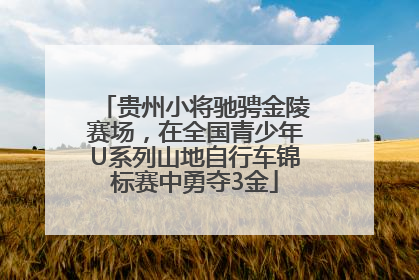 贵州小将驰骋金陵赛场，在全国青少年U系列山地自行车锦标赛中勇夺3金