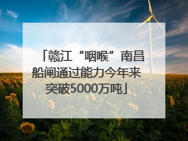 赣江“咽喉”南昌船闸通过能力今年来突破5000万吨