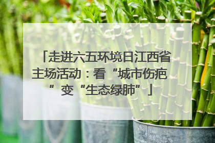 走进六五环境日江西省主场活动：看“城市伤疤”变“生态绿肺”