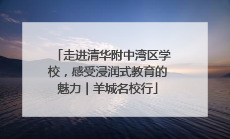走进清华附中湾区学校，感受浸润式教育的魅力｜羊城名校行