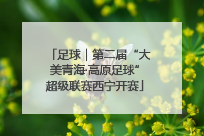 足球｜第二届“大美青海·高原足球”超级联赛西宁开赛
