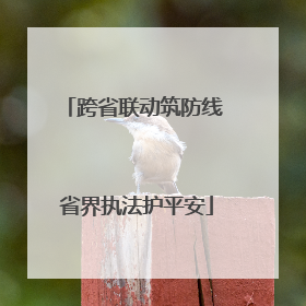 跨省联动筑防线 省界执法护平安