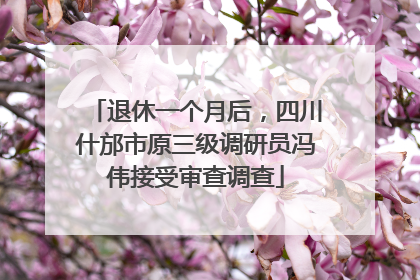退休一个月后，四川什邡市原三级调研员冯伟接受审查调查