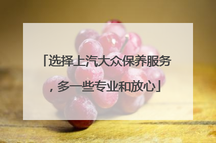 选择上汽大众保养服务，多一些专业和放心