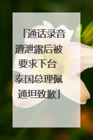 通话录音遭泄露后被要求下台 泰国总理佩通坦致歉