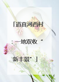 道真河西村：一地双收“新丰景”