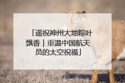 遥祝神州大地粽叶飘香｜重温中国航天员的太空祝福