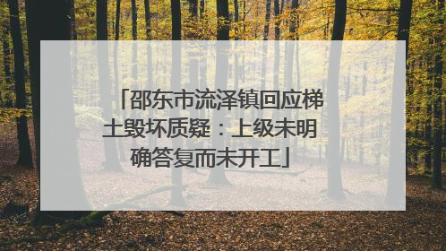 邵东市流泽镇回应梯土毁坏质疑：上级未明确答复而未开工