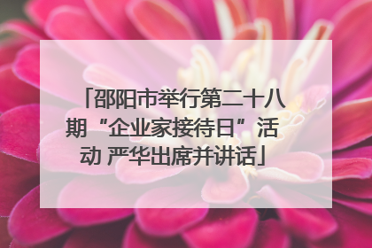 邵阳市举行第二十八期“企业家接待日”活动 严华出席并讲话