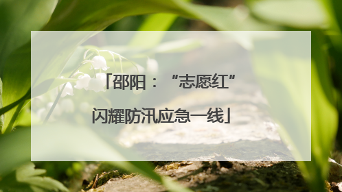邵阳：“志愿红”闪耀防汛应急一线