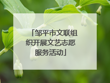 邹平市文联组织开展文艺志愿服务活动