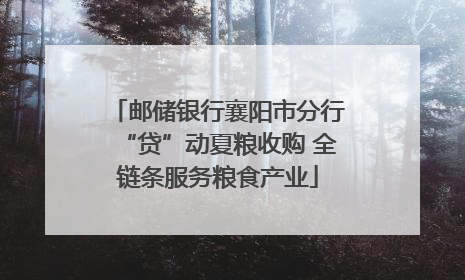 邮储银行襄阳市分行“贷”动夏粮收购 全链条服务粮食产业
