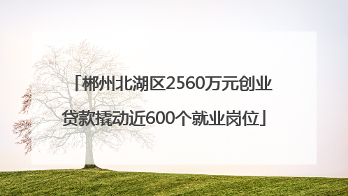郴州北湖区2560万元创业贷款撬动近600个就业岗位