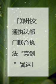 郑州交通执法部门联合执法“亮剑”暑运