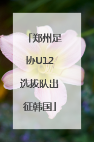 郑州足协U12选拔队出征韩国