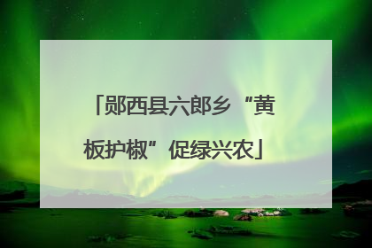 郧西县六郎乡“黄板护椒”促绿兴农