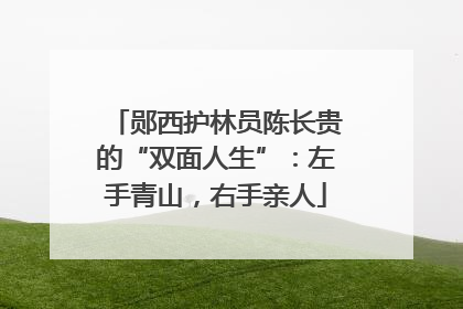 郧西护林员陈长贵的“双面人生”：左手青山，右手亲人